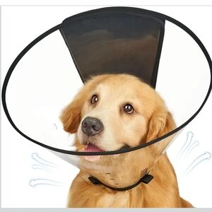 Pet Recovery Cone - Clear with Black TrimSupet Dog Cone Collar Large